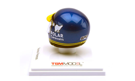 Casco Ronnie Peterson 