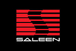 Saleen (USA)