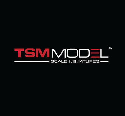 TSM Model 1:43